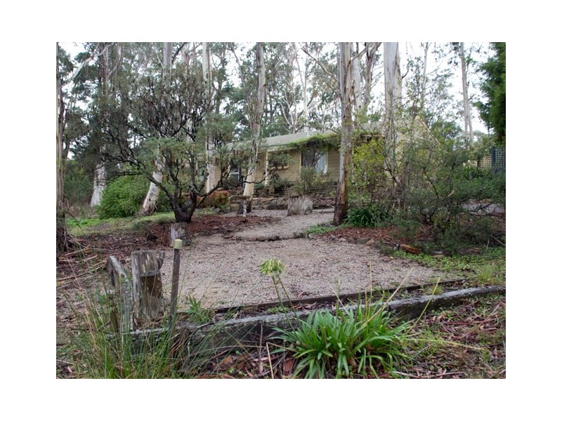 46 Mount York Road, Mount Victoria NSW 2786