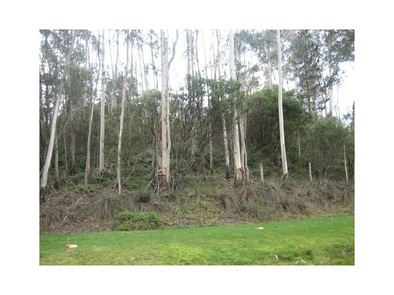 43-45 Hargraves Street, Blackheath NSW 2785