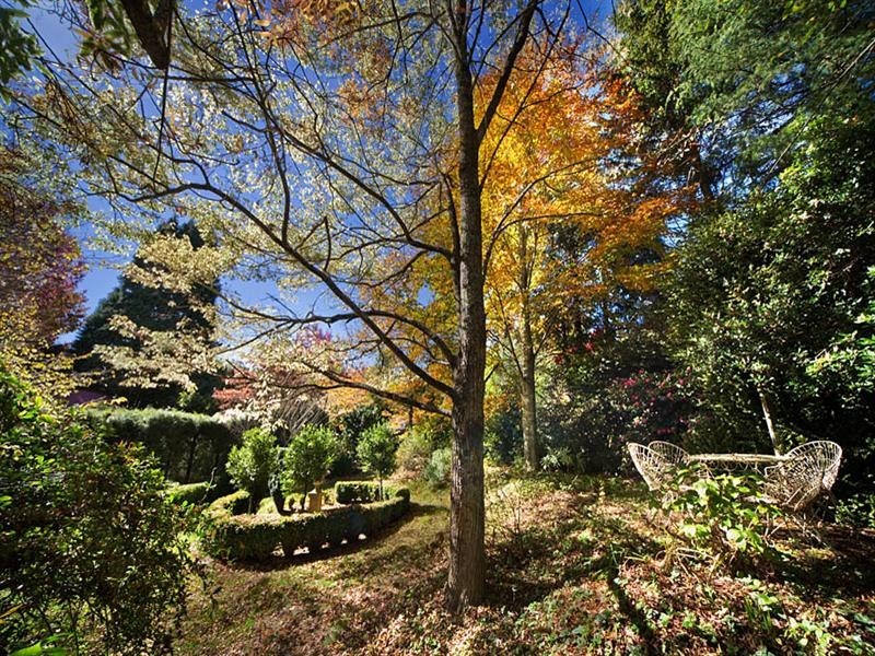 157 Govetts Leap Road, Blackheath NSW 2785