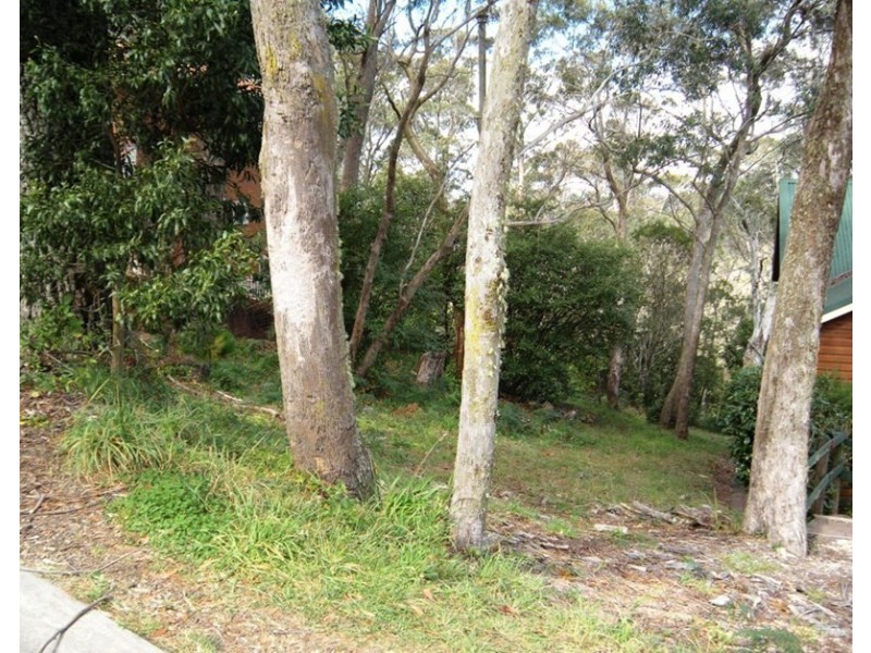 47 Rodriguez Avenue, Blackheath NSW 2785