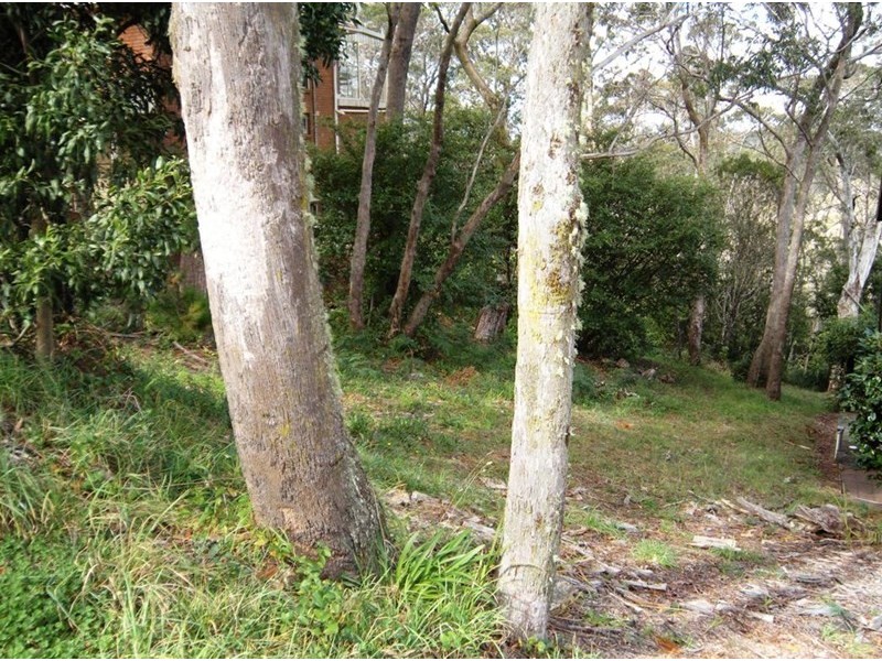 47 Rodriguez Avenue, Blackheath NSW 2785