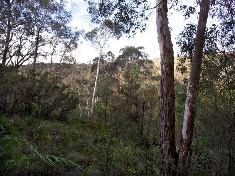 33 Sunbeam Avenue, Blackheath NSW 2785