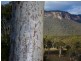 496 Blackheath Creek Road, Little Hartley NSW 2790