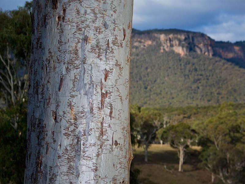 496 Blackheath Creek Road, Little Hartley NSW 2790