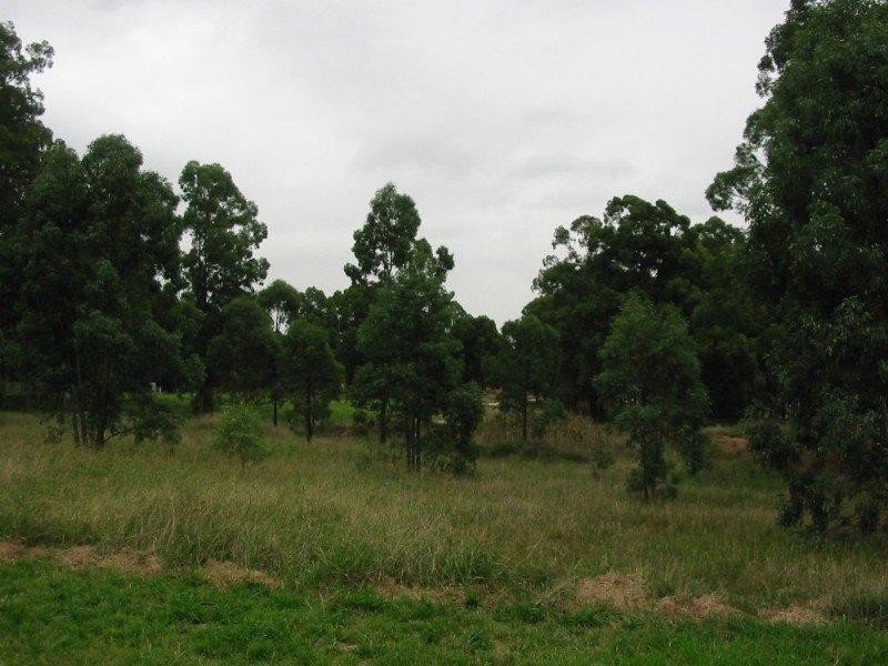 Kellyville Ridge NSW 2155