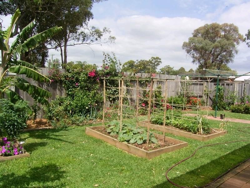 50 Newhaven Road, Blacktown NSW 2148