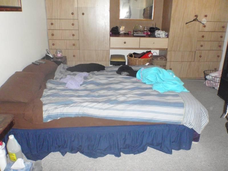 56 Norfolk Street, Blacktown NSW 2148