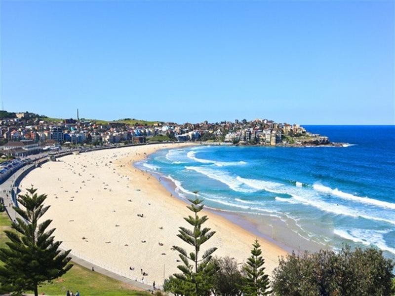 4/21 Lamrock Avenue, Bondi NSW 2026