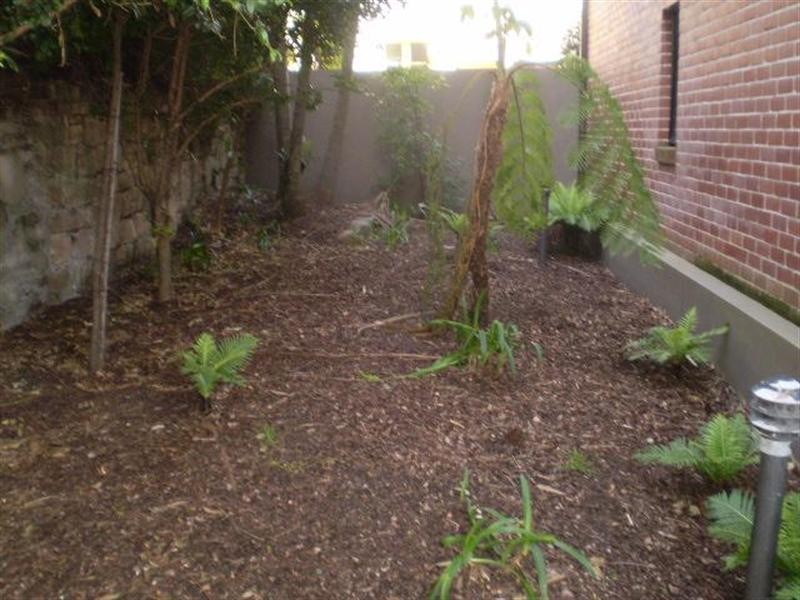 4/24 Imperial Avenue, Bondi NSW 2026