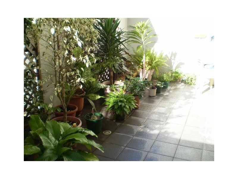 2/17-23 Newland Street, Bondi Junction NSW 2022