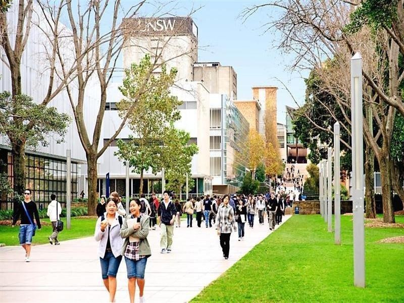 31/231 Anzac Parade, Kensington NSW 2033