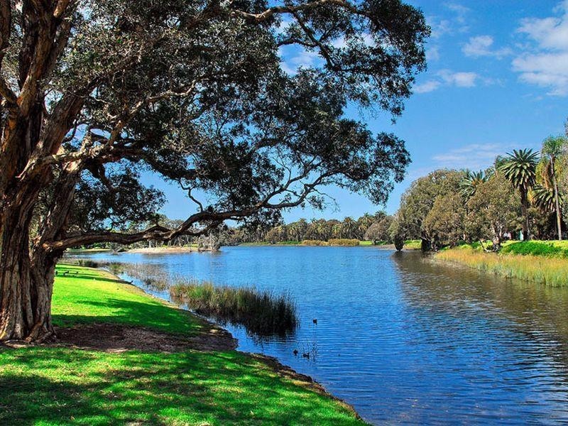 25/49-51 Cook Road, Centennial Park NSW 2021