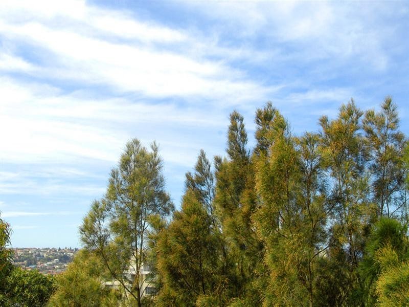 26/30-34 Penkivil Street, Bondi NSW 2026