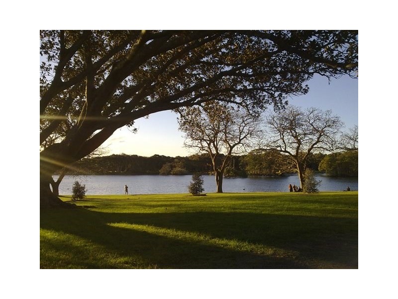 1D/105 Cook Road, Centennial Park NSW 2021