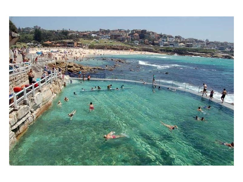 466 Bronte Road, Bronte NSW 2024