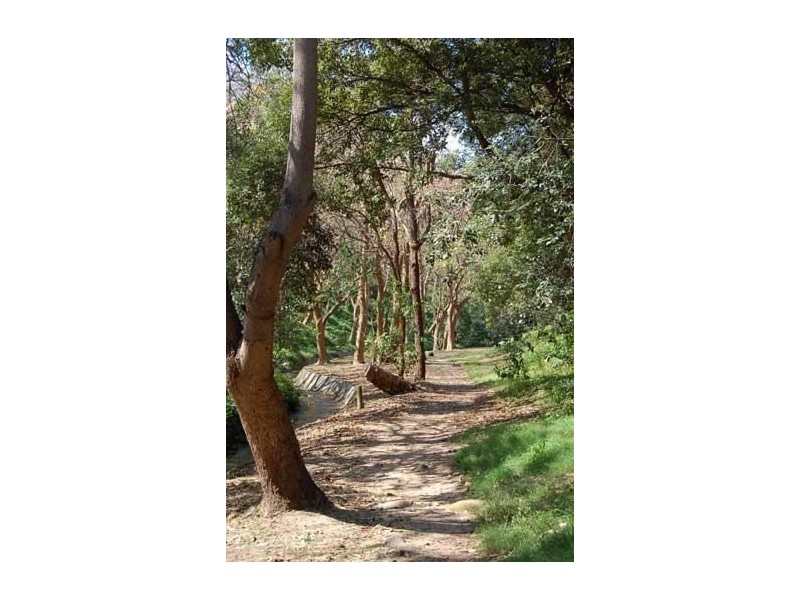 466 Bronte Road, Bronte NSW 2024