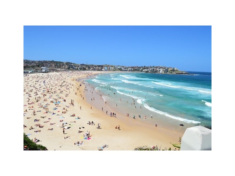 8/15-17 Denham Street, Bondi NSW 2026