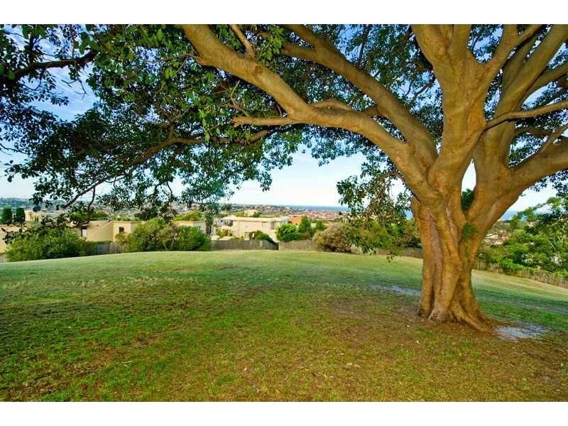 2/31 Birriga Road, Bellevue Hill NSW 2023