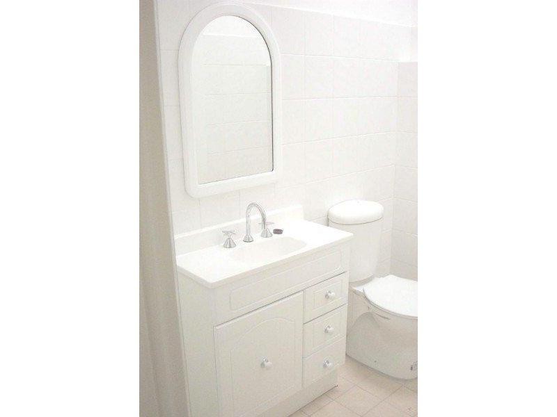 51 Cameron Street, Edgecliff NSW 2027