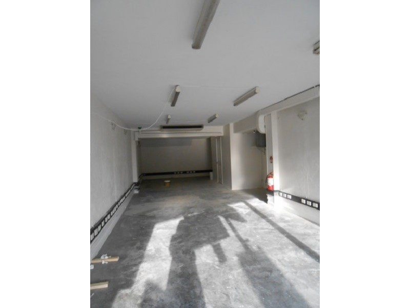 29 Belmore Road, Randwick NSW 2031