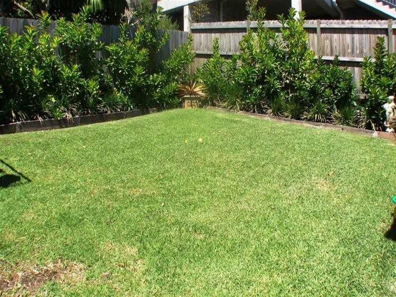 111 Chaleyer Street, Rose Bay NSW 2029