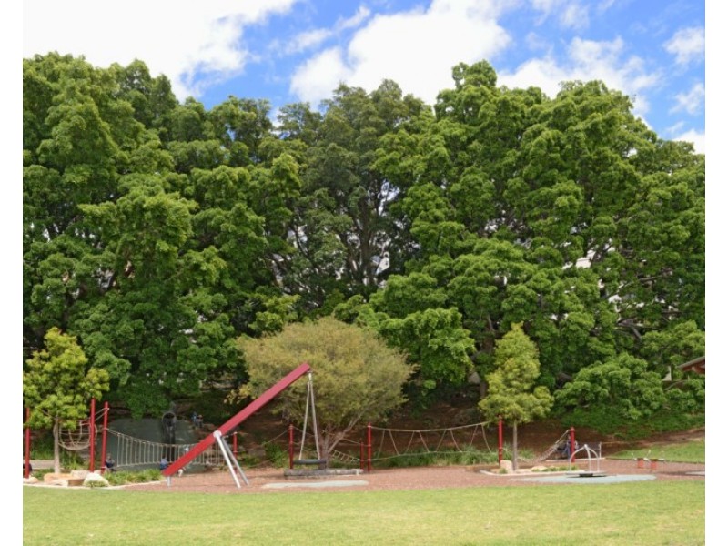 22/16 Ocean Street, Bondi NSW 2026