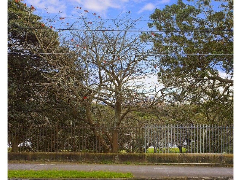 1/79 Darley Road, Randwick NSW 2031