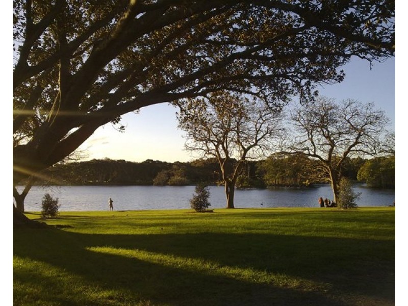 1D/105 Cook Road, Centennial Park NSW 2021