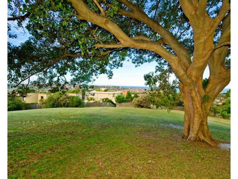 2/31 Birriga Road, Bellevue Hill NSW 2023