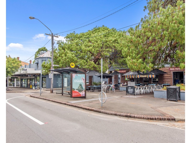 11 Burren Street, Erskineville NSW 2043