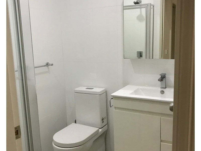 29 Dudley Street, Paddington NSW 2021