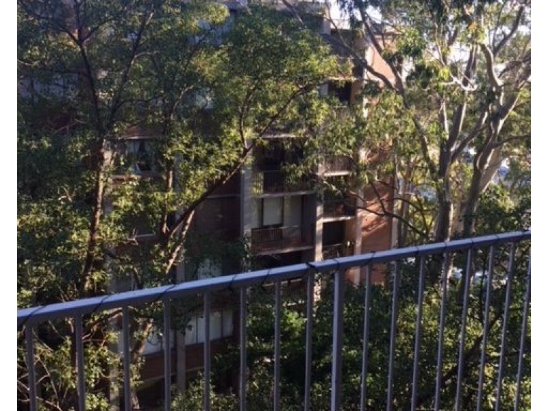 31/57 Cook Road, Centennial Park NSW 2021