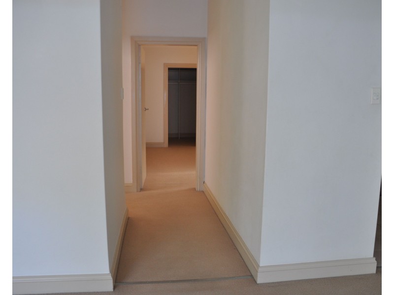 56A Streatfield Road, Bellevue Hill NSW 2023