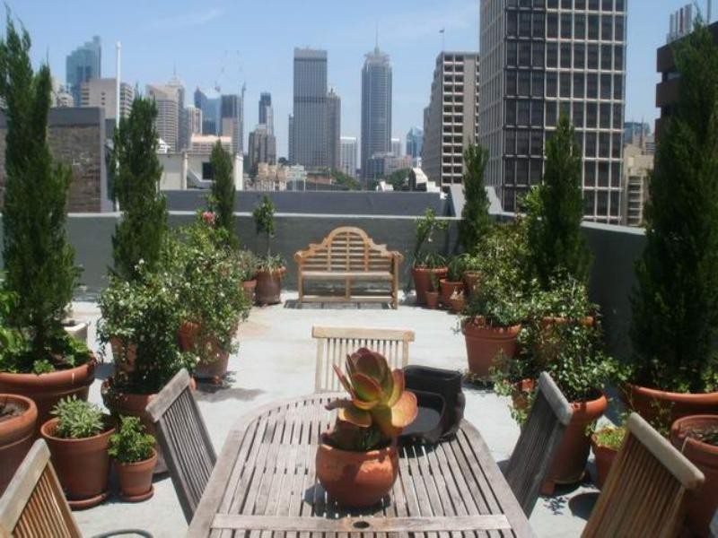 2/167 William Street, Darlinghurst NSW 2010