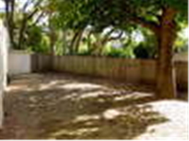 2 Magney Street, Woollahra NSW 2025