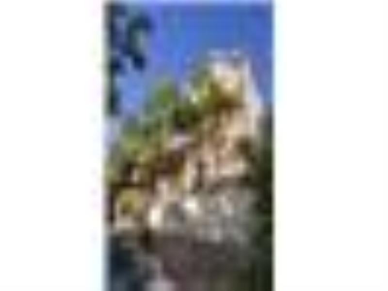 31 Suffolk Street, Paddington NSW 2021