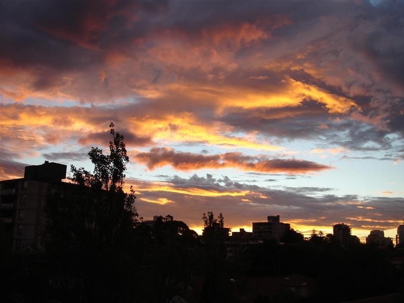 31/22 Penkivil Street, Bondi NSW 2026