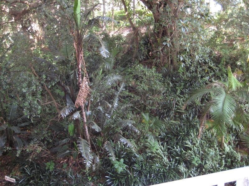 11/105a Darling Point Road, Darling Point NSW 2027