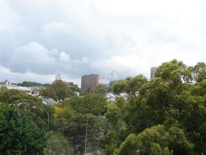 25/33 Waratah Street, Rushcutters Bay NSW 2011