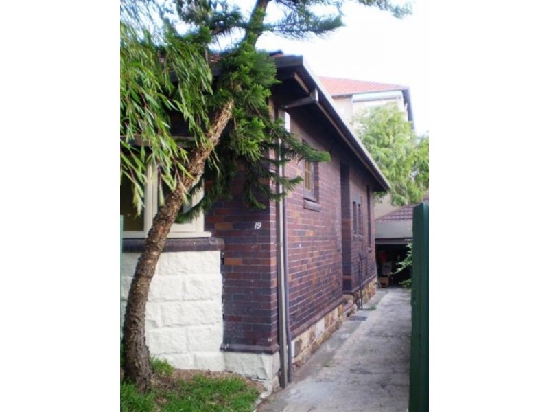 19 Glasgow Avenue, Bondi Beach NSW 2026