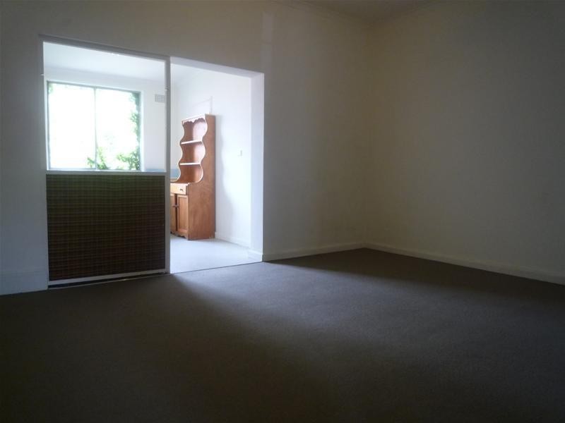 53 Macpherson Street, Waverley NSW 2024