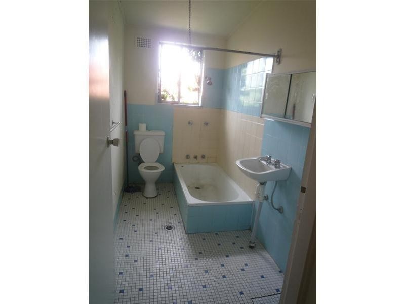 53 Macpherson Street, Waverley NSW 2024