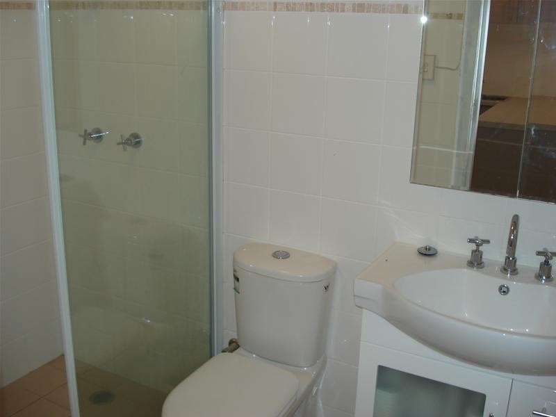 116 Carlton Crescent, Summer Hill NSW 2130