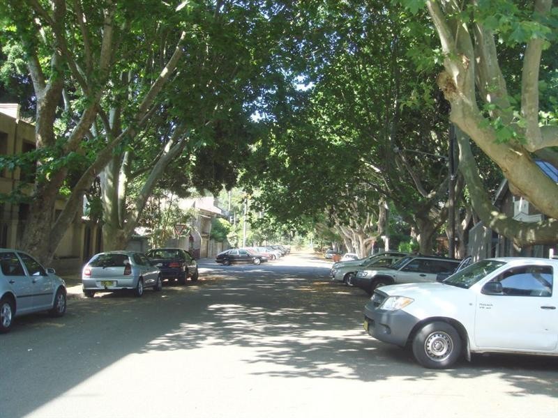 7 Cecil Street, Paddington NSW 2021