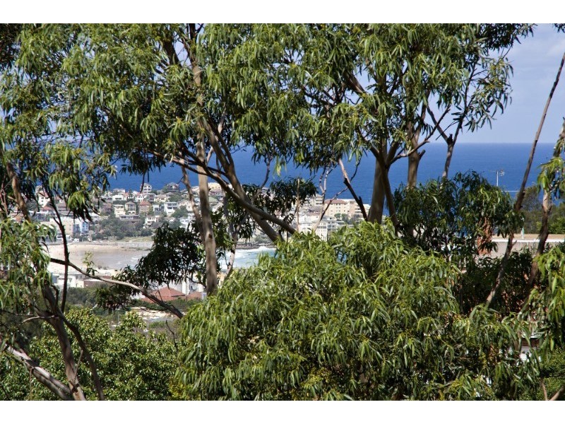 36 Penkivil Street, Bondi NSW 2026