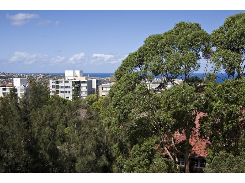 36 Penkivil Street, Bondi NSW 2026