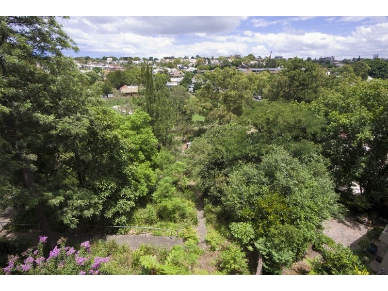 4 New Mclean Street, Edgecliff NSW 2027