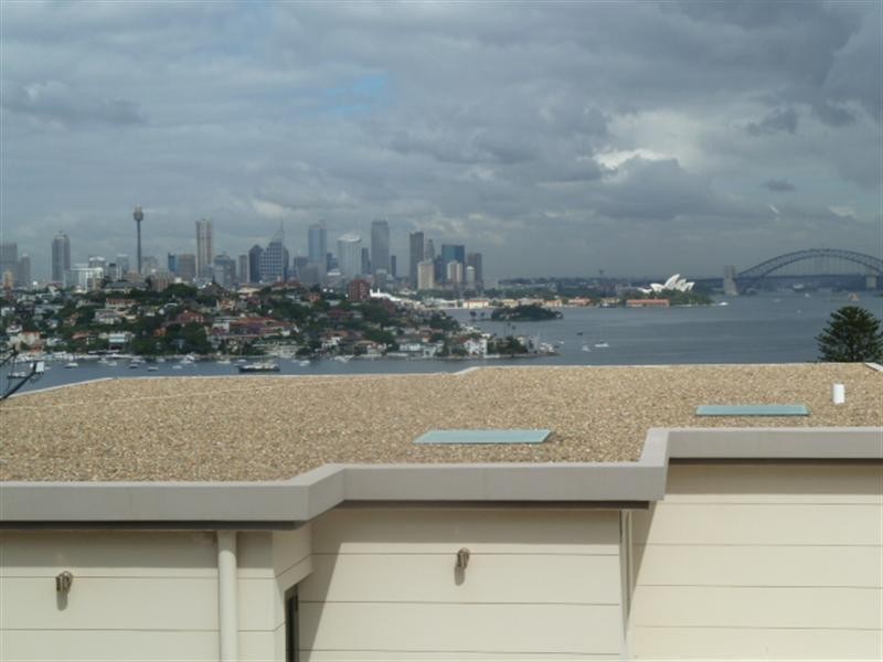 42 Chamberlain Avenue, Rose Bay NSW 2029