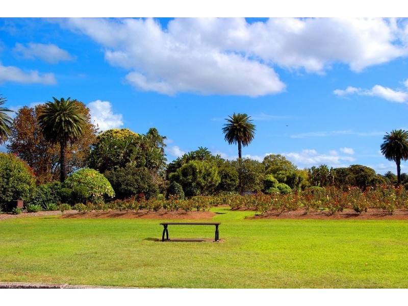 62 Frenchmans Road, Randwick NSW 2031