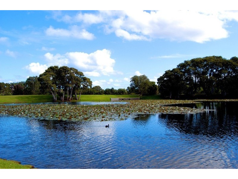 62 Frenchmans Road, Randwick NSW 2031